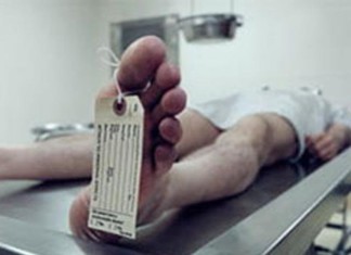 В парке отдыха Сосновка Выборгского района Санкт-Петербурга обнаружен труп подростка